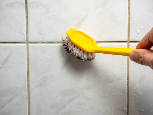 Best Kitchen Mold Remediation in Meridian, MS