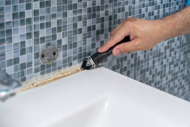 Best Mold Remediation for Schools in Meridian, MS